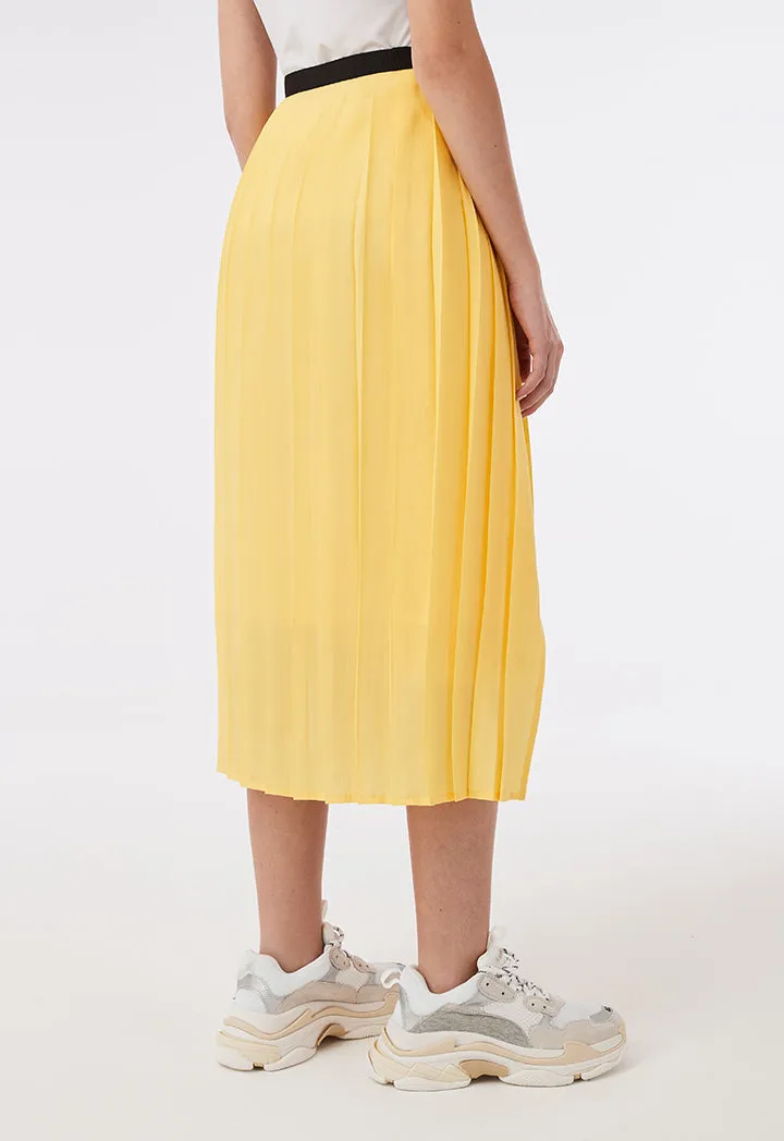 Wrap Around Pleated Skirt