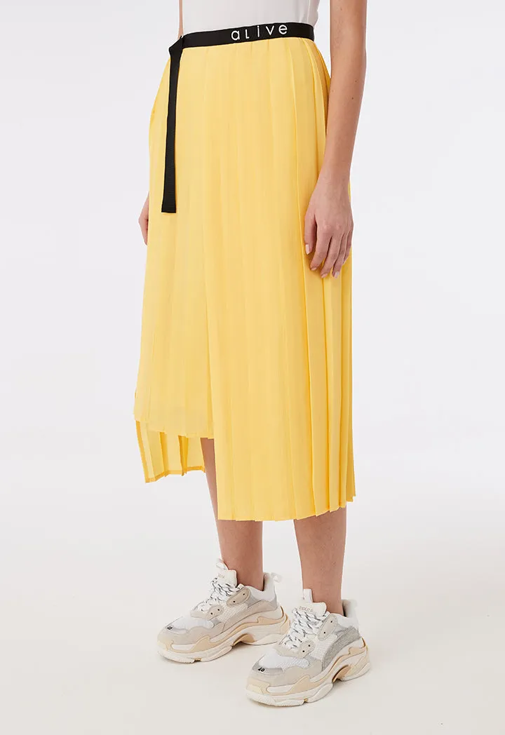 Wrap Around Pleated Skirt